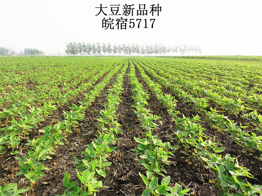 1_副本.jpg