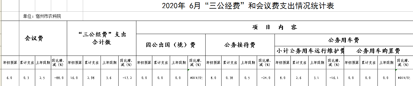 三公经费2020年6月报表.jpg
