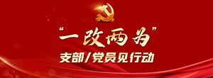 “一改两为”支部/党员见行动