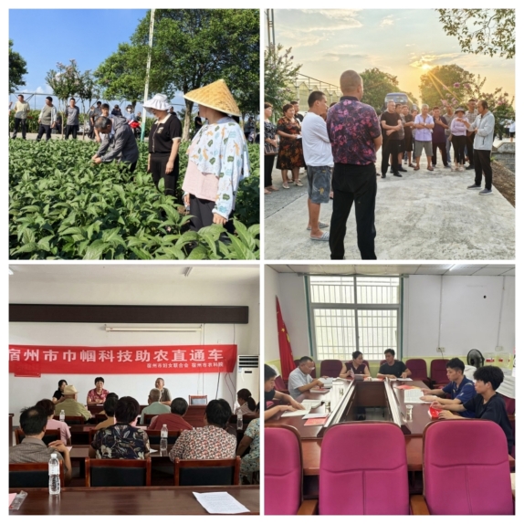 未命名_副本.jpg