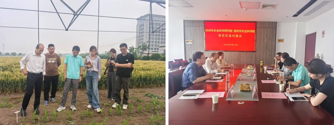微信图片_20250519093609_副本_副本.jpg